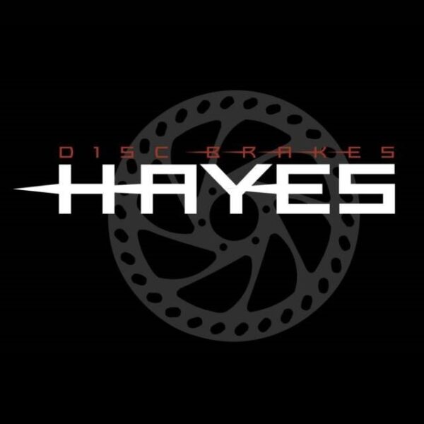 Hayes Stroker Ремкомплект расширительного бачка
